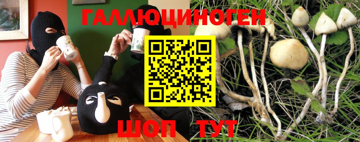 Галлюциногенные грибы Psilocybe Симферополь
